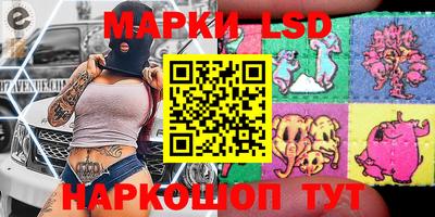 прущие грибы Абакан