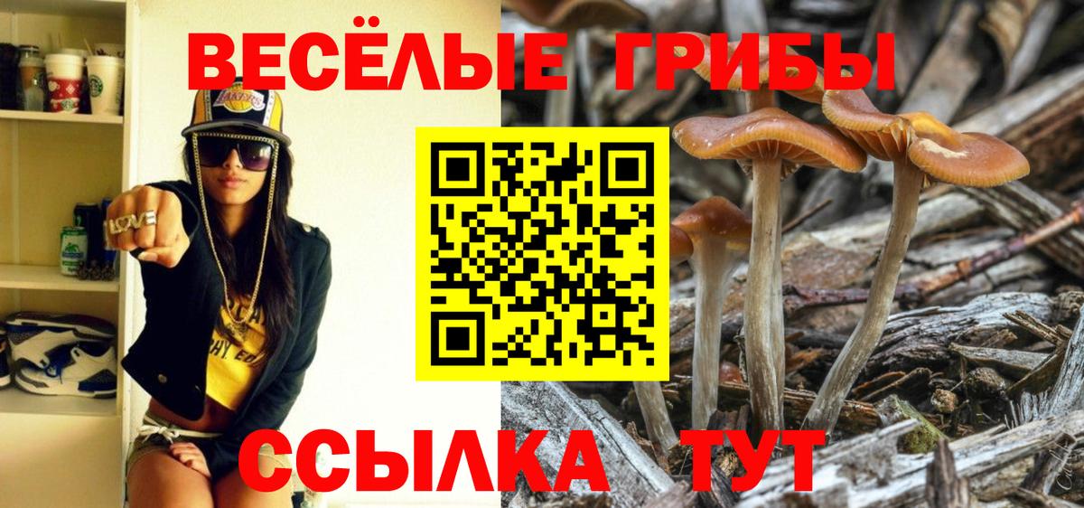 Можайск  Галлюциногенные грибы MAGIC MUSHROOMS  Вход с VPN 