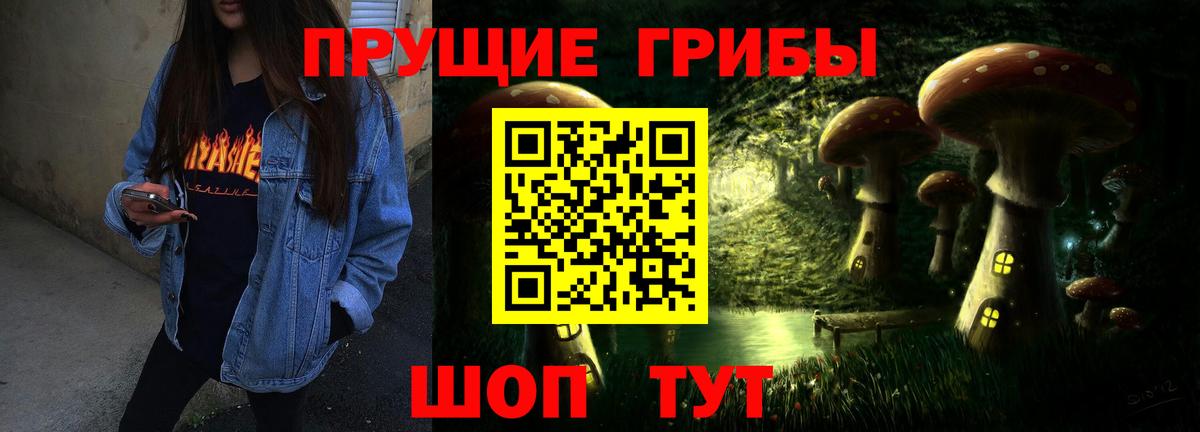 Псилоцибиновые грибы Psilocybe Можайск
